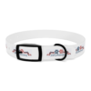 15027669132154081590_4096.webp Patriotic Pups - Dog Collar for 250th Anniversary Celebration