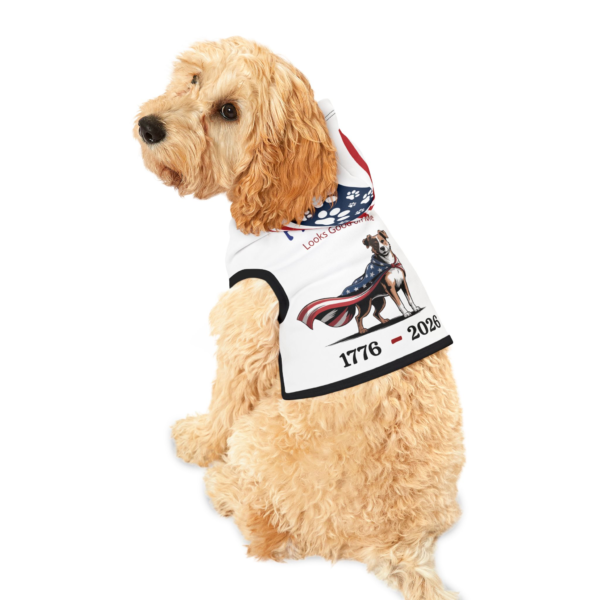 16345805861564284860_2048.webp Freedom Looks Good on Me ~ Patriotic Dog Hoodie