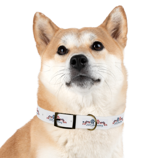 3906297724985564525_4096.webp Patriotic Pups - Dog Collar for 250th Anniversary Celebration