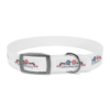 4893175156960903167_4096.webp Patriotic Pups - Dog Collar for 250th Anniversary Celebration