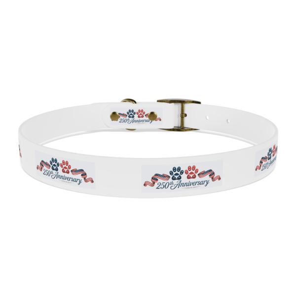 5412027388647746622_4096.webp Patriotic Pups - Dog Collar for 250th Anniversary Celebration