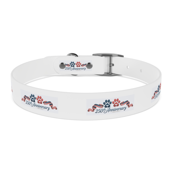 5668053673859682211_4096.webp Patriotic Pups - Dog Collar for 250th Anniversary Celebration