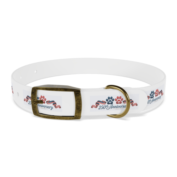 5838807477912401152_4096.webp Patriotic Pups - Dog Collar for 250th Anniversary Celebration