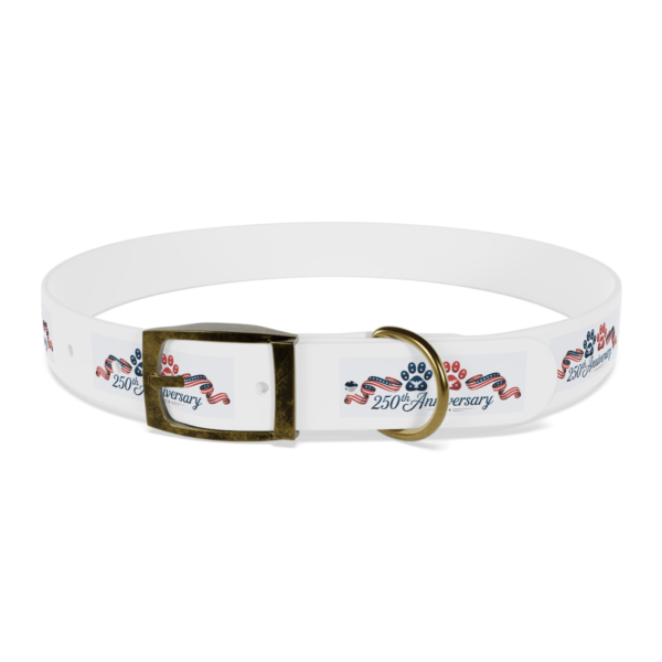 751478331737824631_4096.webp Patriotic Pups - Dog Collar for 250th Anniversary Celebration
