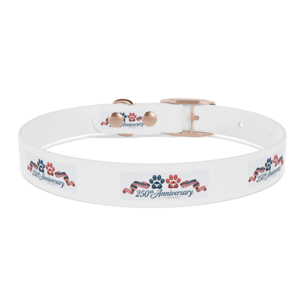 890456678726705097_4096.webp Patriotic Pups - Dog Collar for 250th Anniversary Celebration