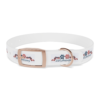 988367918904137798_4096.webp Patriotic Pups - Dog Collar for 250th Anniversary Celebration