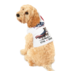12032576638015251960_2048.webp Freedom Looks Good on Me ~ Patriotic Dog Hoodie