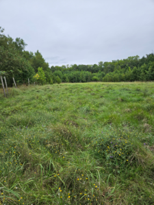 A section of the property that I am currently in the process of foreclosing on.